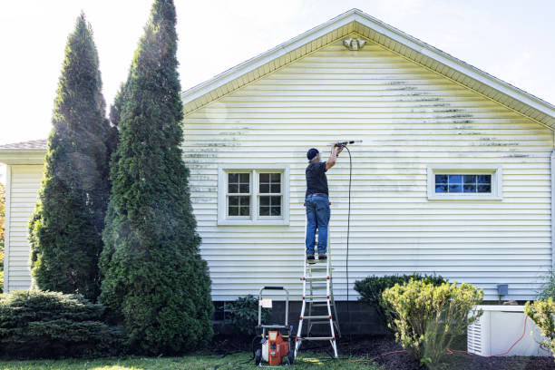 Best Driveway Pressure Washing  in Bent Creek, NC